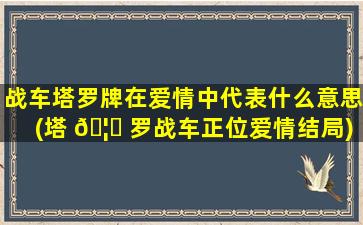 战车塔罗牌在爱情中代表什么意思(塔 🦉 罗战车正位爱情结局)